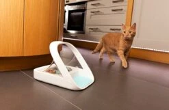 Surefeed Microchip Pet Feeder - Voerbak - 30 X 23 X 22 Cm -Kattenspeelgoed Winkel 1200x780 3