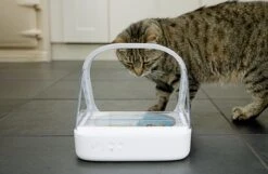 Surefeed Microchip Pet Feeder - Voerbak - 30 X 23 X 22 Cm -Kattenspeelgoed Winkel 1200x780 4