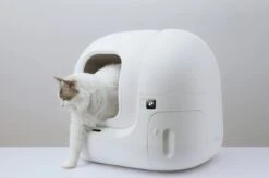 PETKIT® Pura MAX – Automatische Kattenbak – Elektrisch – Kattenbak Zelfreinigend – Bedienen Via De App 14 PETKIT® Pura MAX – Automatische Kattenbak – Elektrisch – Kattenbak Zelfreinigend – Bedienen Via De App -Kattenspeelgoed Winkel 1200x798 1