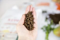 Kivo Petfood Kattenbrokken Verse Zalm - 5 Kg - Graanvrij 9 Kivo Petfood Kattenbrokken Verse Zalm - 5 Kg - Graanvrij -Kattenspeelgoed Winkel 1200x800 1