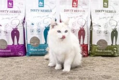 Dirty Rebels Kattenbakvulling - 10 L - Geurloos / Zonder Geur - Sterk Klontvormend - Stofvrij - 100% Natuurlijk - Premium Kwaliteit Van Petrebels -Kattenspeelgoed Winkel 1200x800 16