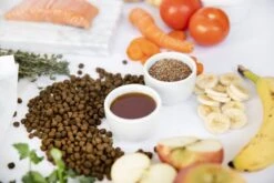 Kivo Petfood Kattenbrokken Verse Zalm - 5 Kg - Graanvrij 11 Kivo Petfood Kattenbrokken Verse Zalm - 5 Kg - Graanvrij -Kattenspeelgoed Winkel 1200x800 2