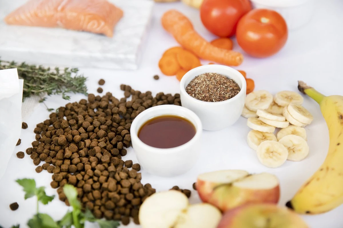 Kivo Petfood Kattenbrokken Verse Zalm - 5 Kg - Graanvrij 7 Kivo Petfood Kattenbrokken Verse Zalm - 5 Kg - Graanvrij - Afbeelding 5