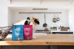 Edgard&Cooper Kitten Kip&Eend&Witvis - Kattenvoer - 3 X 300 G -Kattenspeelgoed Winkel 1200x800