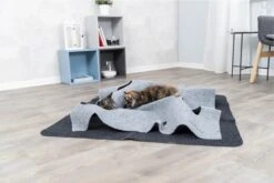 Trixie Cat Activity Adventure Carpet Grijs 99x99 Cm 35 Trixie Cat Activity Adventure Carpet Grijs 99x99 Cm -Kattenspeelgoed Winkel 1200x800 54