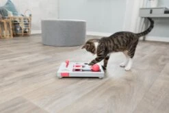 Trixie Cat Activity Brain Mover - 25 X 20 Cm -Kattenspeelgoed Winkel 1200x800 60