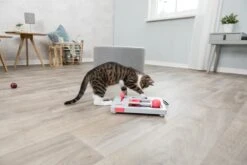 Trixie Cat Activity Brain Mover - 25 X 20 Cm -Kattenspeelgoed Winkel 1200x800 62