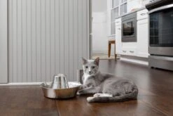 PetSafe® Seaside Stainless Steel Pet Fountain - RVS Drinkfontein Voor Katten En Kleine Honden - Water Borrelt Zacht Over De Toren - Door Het Design Van Alle Kanten Bereikbaar - 1,8 Liter - PetSafe Seaside -Kattenspeelgoed Winkel 1200x800 9