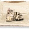 Kattenhangmat - Voor Aan Het Raam - Kattenmand - Raam - Hangmat Kat - Dieren - Kattenbed - Kattenmand - Slaapplek - Ligplaats -Kattenspeelgoed Winkel 1200x801 6