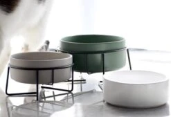 GIZMO 2x Voerbak Kat - 400 Ml - Groen - Keramische Drink- & Voerbakken Met Standaard - 13 Cm - 2 Stuks -Kattenspeelgoed Winkel 1200x823