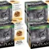 Pro Plan Cat NutriSavour Sterilised Multipack - Kattenvoer - Kip 40x85 G -Kattenspeelgoed Winkel 1200x831 2