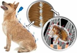 Beaphar DIMETHIcare Line On Kat - Vlooienbestrijding - 6 Pipetten 14 Beaphar DIMETHIcare Line On Kat - Vlooienbestrijding - 6 Pipetten -Kattenspeelgoed Winkel 1200x831