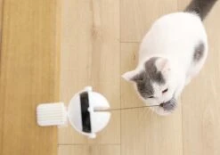 Merkloos Kattenhengel - Elektrisch Kattenspeelgoed - Kattenspeeltjes - Automatische Hengel - Kitten Speelgoed - Interactief Kattenspeelgoed - Bal - Katten - Poesjes - Kitten - Kat - Kattenbal - Kattenspeeltjes Intelligentie -Kattenspeelgoed Winkel 1200x845 1