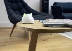 Sureflap Connect HUB 10 Sureflap Connect HUB -Kattenspeelgoed Winkel 1200x848 1