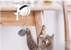 Merkloos Kattenhengel - Elektrisch Kattenspeelgoed - Kattenspeeltjes - Automatische Hengel - Kitten Speelgoed - Interactief Kattenspeelgoed - Bal - Katten - Poesjes - Kitten - Kat - Kattenbal - Kattenspeeltjes Intelligentie -Kattenspeelgoed Winkel 1200x852 5