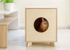 Catandwood Kattenhuis - Kattenbakcontainer - Kattenbak Ombouw - Hout -Kattenspeelgoed Winkel 1200x856 3