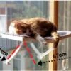 Hobipets - Kattenmand Raam - 5 Zuignappen - Hangmat Kat Raam -Kattenspeelgoed Winkel 1200x856 4