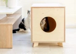 Catandwood Kattenhuis - Kattenbakcontainer - Kattenbak Ombouw - Hout -Kattenspeelgoed Winkel 1200x857 6