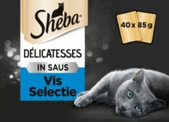 Sheba Delicatesse Katten Natvoer - Vis - 40 X 85 Gr -Kattenspeelgoed Winkel 1200x863