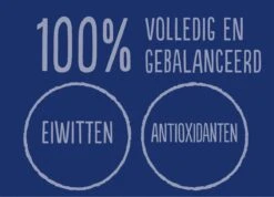 Felix Elke Dag Feest Vis Selectie In Gelei 7+ Jaar 12 X 85 Gr -Kattenspeelgoed Winkel 1200x865