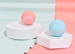 Merkloos EYSS Slimme Bal / Huisdier Speelgoedbal / Kattenspeeltje / Zelfrollende Kattenbal / Smart Rollende Bal / Oplaadbare Speeltje Voor Poesjes /Katten -Kattenspeelgoed Winkel 1200x868 4