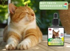 Natuurlijke Vlooiendruppels Voor Katten - Vanaf 4 Kg - 100% Natuurlijk - Vlooien - Zonder Giftige Pesticiden - 30 Ml - Speciale Formule Voor Katten - Vachtdruppels - Made In Holland -Kattenspeelgoed Winkel 1200x872 2