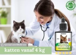 Natuurlijke Vlooiendruppels Voor Katten - Vanaf 4 Kg - 100% Natuurlijk - Vlooien - Zonder Giftige Pesticiden - 30 Ml - Speciale Formule Voor Katten - Vachtdruppels - Made In Holland -Kattenspeelgoed Winkel 1200x872