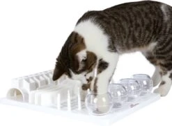 Trixie Cat Activity Fun Bord - 40X30 CM -Kattenspeelgoed Winkel 1200x883 4