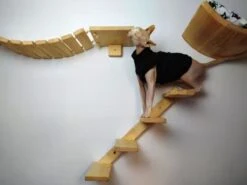 Kattentrap Hout - Linksonder Naar Rechtsboven - Handgemaakte Kattenladder - Katten Klimmuur Klimwand -Kattenspeelgoed Winkel 1200x898 5