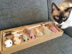 Make Life Beautiful® - Kattenspeeltjes Set - 7-delig - Kattenspeelgoed - Kattenhengel - Speelmuisjes - Kattenspeelgoed Set -Kattenspeelgoed Winkel 1200x900 8