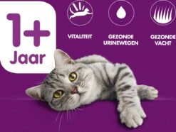 Whiskas 1+ Adult Katten Droogvoer - Rund - 3,8 Kg -Kattenspeelgoed Winkel 1200x902 2