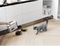 Curver Voercontainer Kat - 6 L 19 Curver Voercontainer Kat - 6 L -Kattenspeelgoed Winkel 1200x910 3