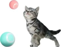 Merkloos EYSS Slimme Bal / Huisdier Speelgoedbal / Kattenspeeltje / Zelfrollende Kattenbal / Smart Rollende Bal / Oplaadbare Speeltje Voor Poesjes /Katten -Kattenspeelgoed Winkel 1200x915 2