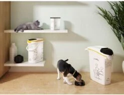 Curver Voedselcontainer Kat - 10 L 18 Curver Voedselcontainer Kat - 10 L -Kattenspeelgoed Winkel 1200x917 2