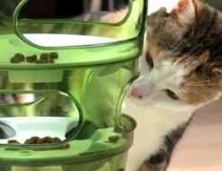 Cat-It Senses 2.0 Food Tree - Wit/Groen - Voerbak - Ø 35 Cm -Kattenspeelgoed Winkel 1200x923