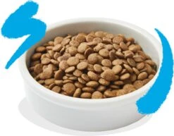 Edgard & Cooper Kattenvoer Adult Zalm 4 Kg -Kattenspeelgoed Winkel 1200x936 2