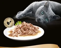 Sheba Mini Filets In Saus Kattenvoer Maaltijdzakjes Gevogelte 40 X 85 G -Kattenspeelgoed Winkel 1200x959 1
