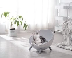 Cats&Co Hemisferische Designer Kattenstoel Kunststof Wit -Kattenspeelgoed Winkel 1200x961