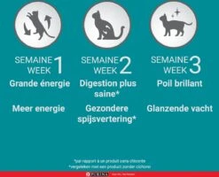 Purina One Sensitive - Kalkoen/Rijst - Kattenvoer - 800 G -Kattenspeelgoed Winkel 1200x970 3
