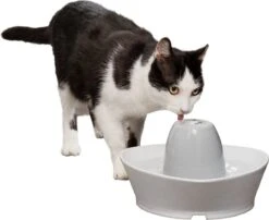 PetSafe® Streamside Ceramic Pet Fountain - Keramische Drinkfontein Voor Katten En Kleine Honden - Water Borrelt Zacht Over De Toren - Door Het Design Van Alle Kanten Bereikbaar - 1,8 Liter - PetSafe Streamside -Kattenspeelgoed Winkel 1200x983 1