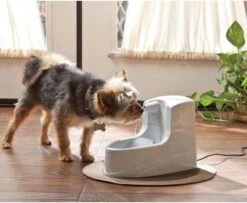 Petsafe Drinkwell Platinum - Drinkfontein - 5 L -Kattenspeelgoed Winkel 1200x986
