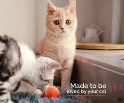 Cheerble Mini Ball 2.0 - Slimme Interactieve Zelf Rollende Bal Voor Katten - 3 Speelmodi - Kattenspeeltjes - USB Oplaadbaar - Rood -Kattenspeelgoed Winkel 1200x994 1