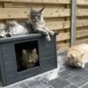 RHRQuality Kattenhuis Voor Binnen En Buiten Kattenhok Villa De Luxe Grijs -Kattenspeelgoed Winkel 1200x996 1