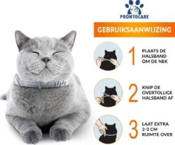 Vlooienband Kat - Vlooien Teken - Anti Tekenmiddel - Anti Teken - Diervriendelijk -Kattenspeelgoed Winkel 1200x996