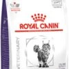 Royal Canin Dental Kat 6 Kg (2 X 3kg) 1 Royal Canin Dental Kat 6 Kg (2 X 3kg) -Kattenspeelgoed Winkel 593x1200