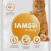 Iams Cat Senior - Kip - 3 Kg -Kattenspeelgoed Winkel 596x1200 1