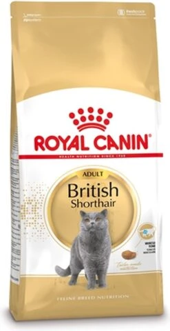 Royal Canin British Shorthair Adult - Kattenvoer - 2 Kg -Kattenspeelgoed Winkel 618x1200