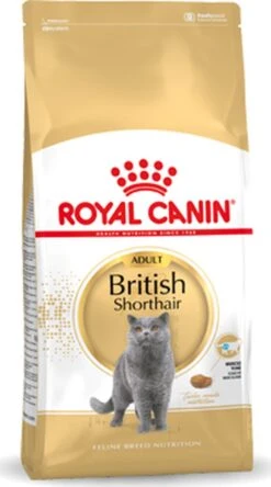Royal Canin British Shorthair Adult - Kattenvoer - 2 Kg -Kattenspeelgoed Winkel 668x1200 8