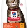 Hill's Feline Adult Kip - Kattenvoer - 7 Kg -Kattenspeelgoed Winkel 690x1200