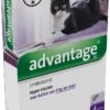 Advantage 80 Vlooiendruppelsl Kat Vanaf 4 Kg - 4 Pipetten 2 Advantage 80 Vlooiendruppelsl Kat Vanaf 4 Kg - 4 Pipetten -Kattenspeelgoed Winkel 701x1200